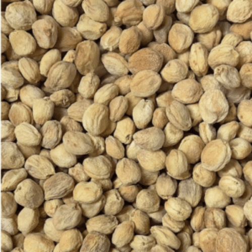 Apricots-with-pit-Gholing-300x300_500x500 Shahi Gol Khormani Delights |Khubani (خوبانی) – 100% Fresh & Delicious