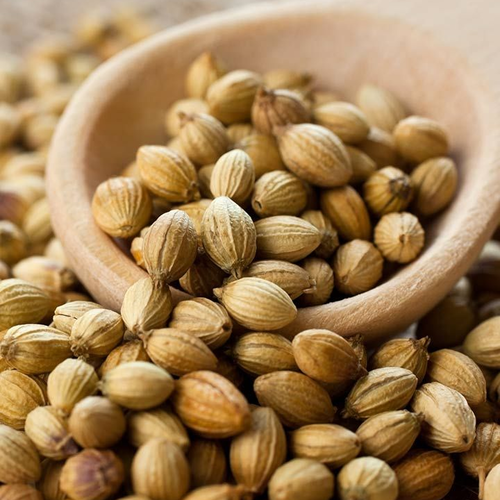 Coriander_Seeds_Benefits__7_Proven_Ways_To_Boost_Your_Health_cropped Royal Aromatic Dhania | Premium Whole Seeds
