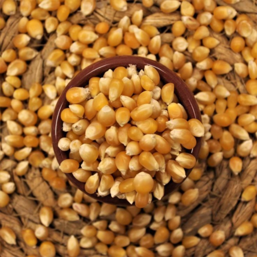 Nature’s Pride Popcorn Kernels | Premium & Fresh