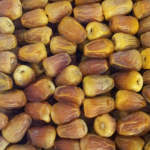 Dates-1-300x300_500x500 Supreme Zahidi Dates | Zahidi Khajoor (کھجور) Fresh & Soft