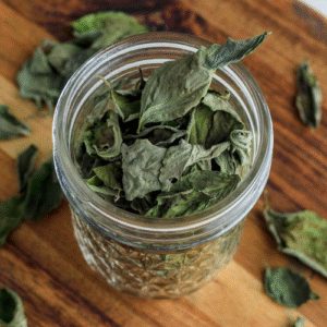 HerbEssence Basil Leaves | Dried & Fresh