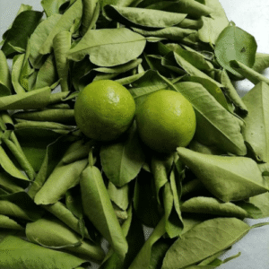 NatureBloom Kaffir Lime Leaves | Dried & Fragrant
