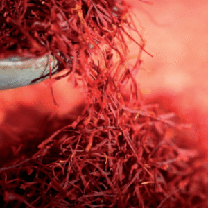 ZAFRAN_cropped Royal Nutistan Saffron | Pure & Premium Kesar