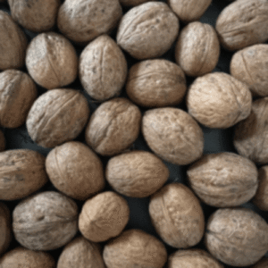 download-2-1-300x300-1-300x300_500x500 Koh-e-Swat wallnuts Kernals | koh-e-Swat Akhroot (آخروٹ) Girri.