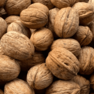 download-2-300x300-1-300x300_500x500 Nutistan Signature kaghzi Wallnuts | Kaghzi akhroot (آخروٹ)