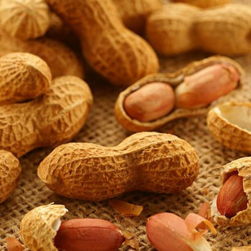 Shell Bliss Peanuts | Premium Crunchy Roasted