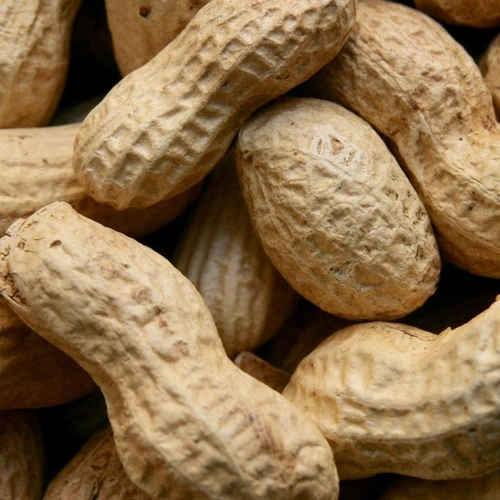 download_7_cropped Nutistan Special Peanuts | Fresh & Wholesome